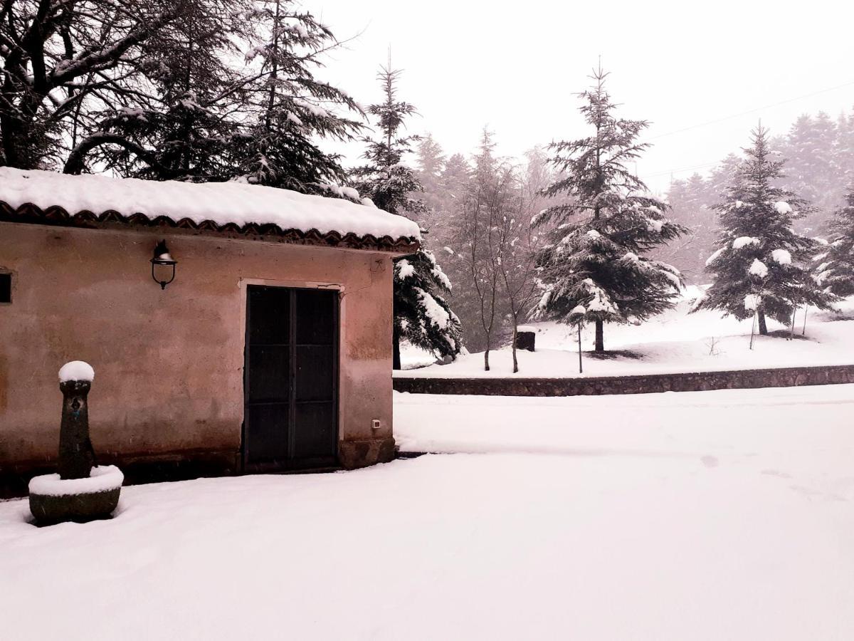 Casa Alegria Bed & Breakfast Morano Calabro Eksteriør bilde