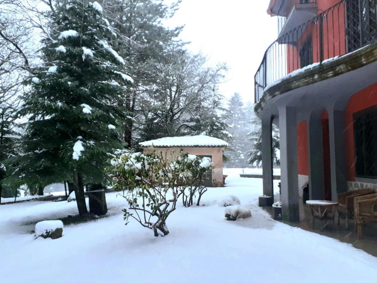 Casa Alegria Bed & Breakfast Morano Calabro Eksteriør bilde